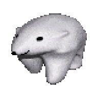 MNXS