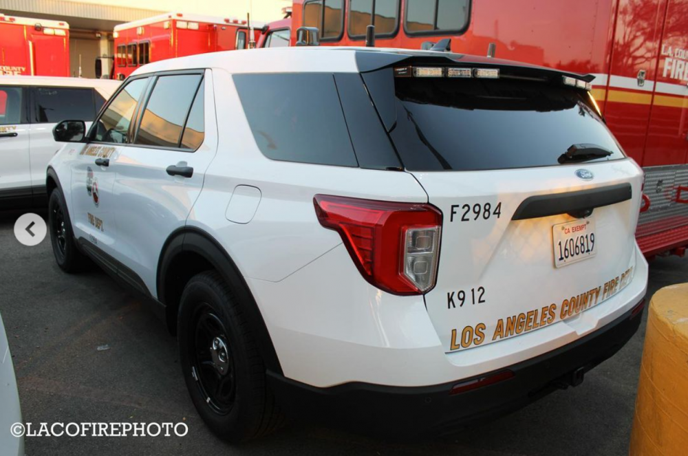 LACoFD K9-1.png